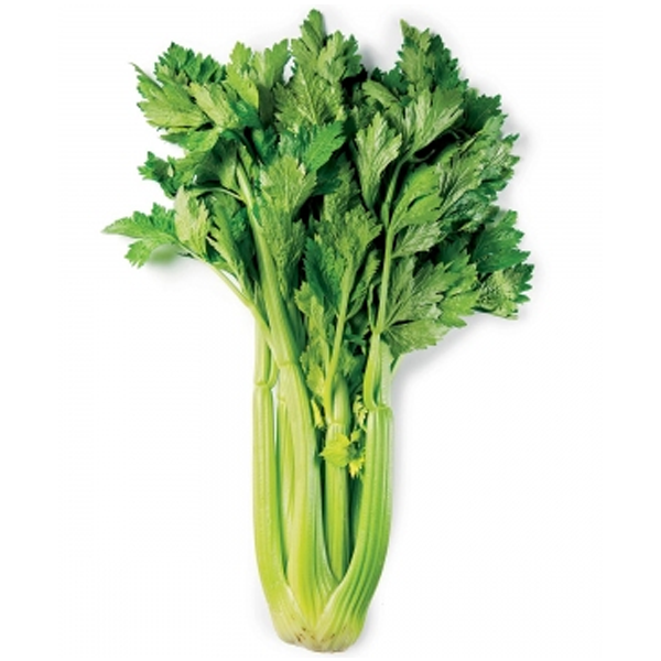 celery seeds 100 seeds Vegetable seeds