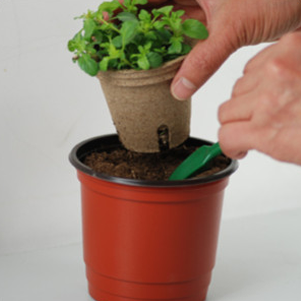 Biodegradable Flower Pot - Rama Deals - 3