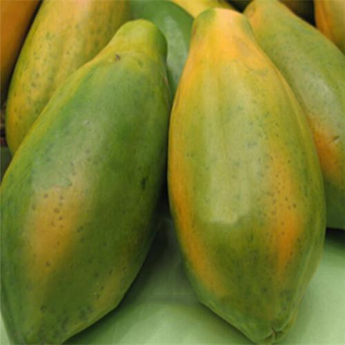 Green Layer Orange Papaya Seeds