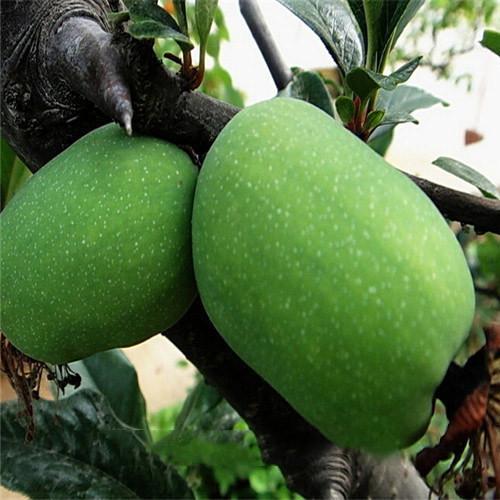 Delicious Green Papaya Seeds