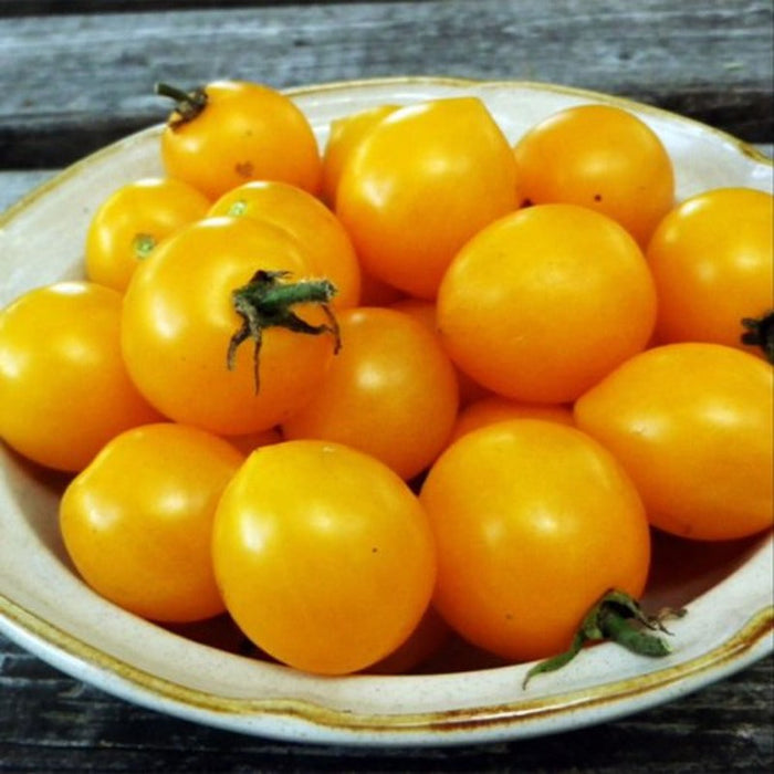 Yellow Cherry Tomatoes Seeds