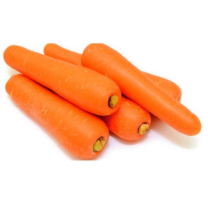 Eight-inch carrot seeds