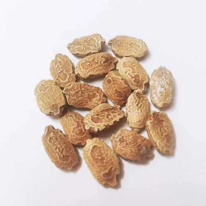 Extra Large White Bitter Gourd Seeds