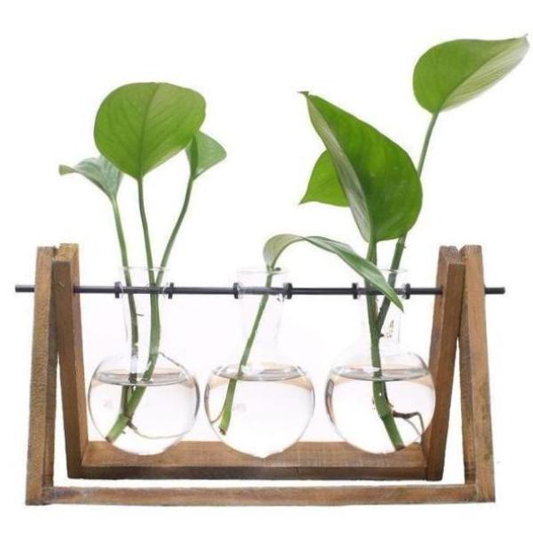 Glass Hydroponic Table Planter