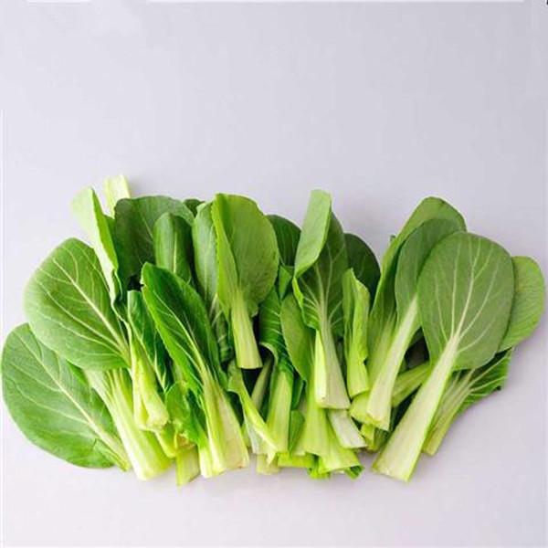 Chinese Cabbage Seeds
