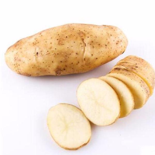 Russian Banana Potato Seeds